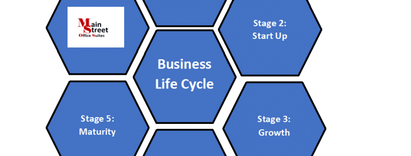 Life Cycle 1