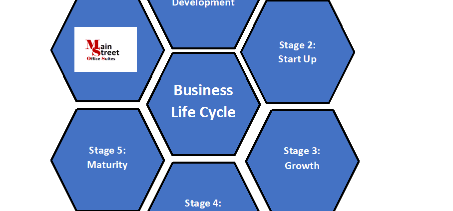 Life Cycle 1